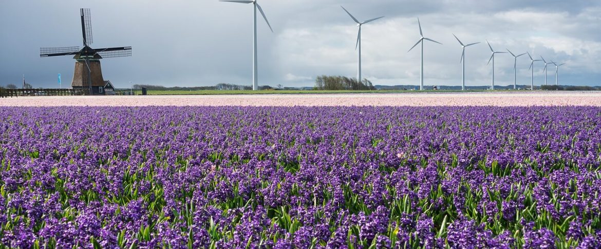 energy-by-modern-and-traditional-windmills-and-PZ4VWBA energy-by-modern-and-traditional-windmills-and-PZ4VWBA