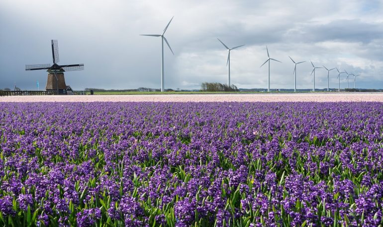 energy-by-modern-and-traditional-windmills-and-PZ4VWBA